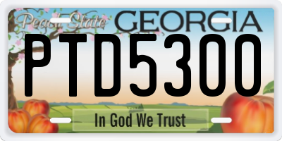 GA license plate PTD5300