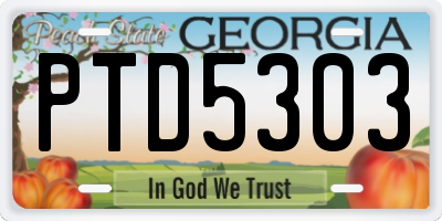 GA license plate PTD5303