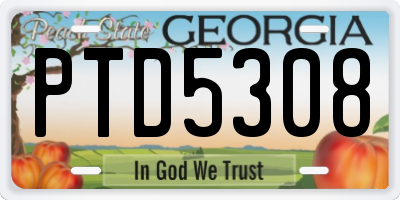 GA license plate PTD5308