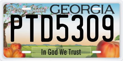 GA license plate PTD5309