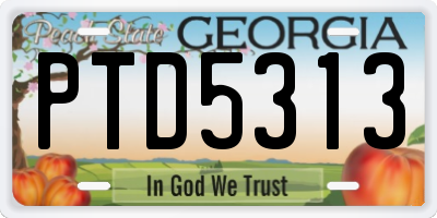 GA license plate PTD5313