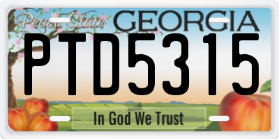 GA license plate PTD5315