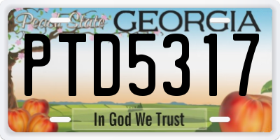 GA license plate PTD5317