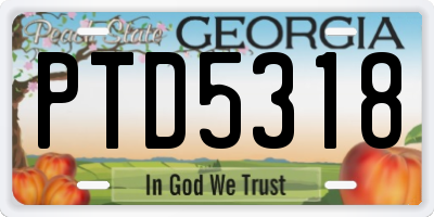 GA license plate PTD5318