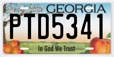 GA license plate PTD5341