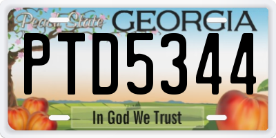 GA license plate PTD5344