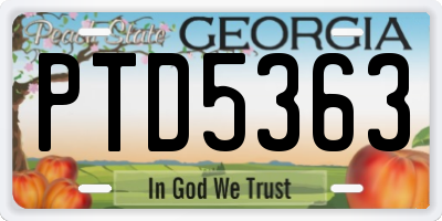 GA license plate PTD5363