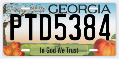 GA license plate PTD5384