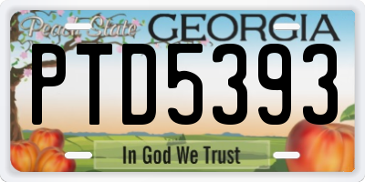 GA license plate PTD5393