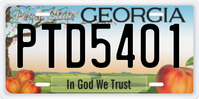 GA license plate PTD5401