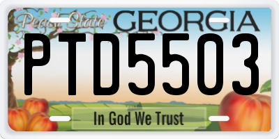 GA license plate PTD5503