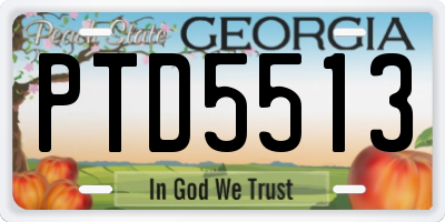 GA license plate PTD5513