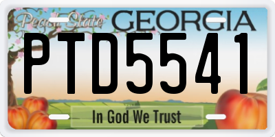 GA license plate PTD5541