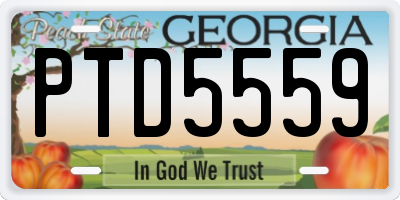 GA license plate PTD5559