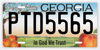 GA license plate PTD5565