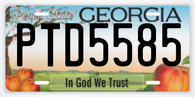 GA license plate PTD5585