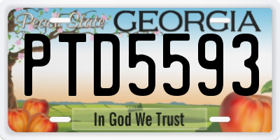 GA license plate PTD5593
