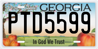 GA license plate PTD5599