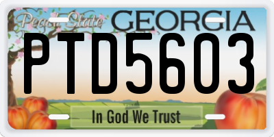 GA license plate PTD5603