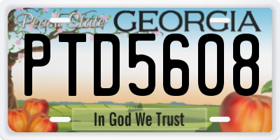 GA license plate PTD5608