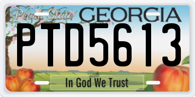 GA license plate PTD5613
