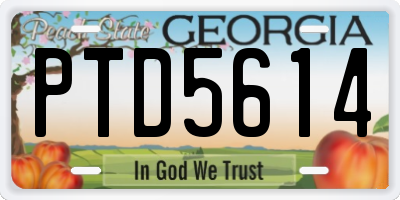GA license plate PTD5614