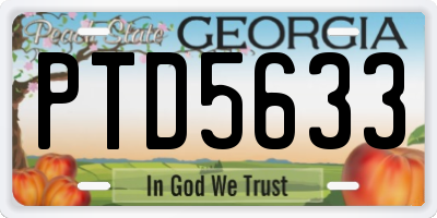 GA license plate PTD5633
