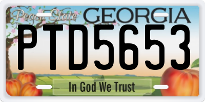 GA license plate PTD5653