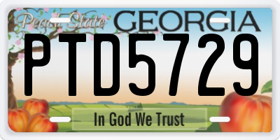 GA license plate PTD5729