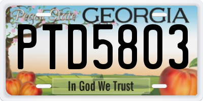 GA license plate PTD5803
