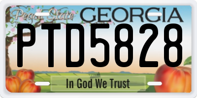 GA license plate PTD5828