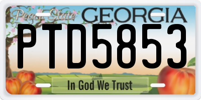 GA license plate PTD5853