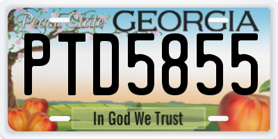 GA license plate PTD5855