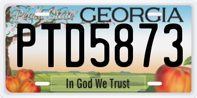 GA license plate PTD5873