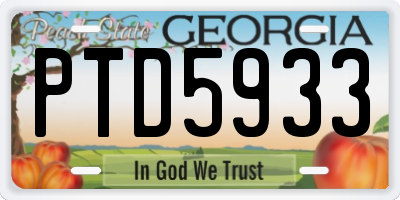 GA license plate PTD5933