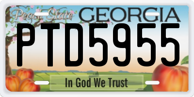 GA license plate PTD5955