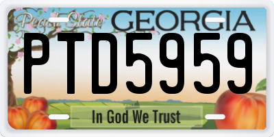 GA license plate PTD5959