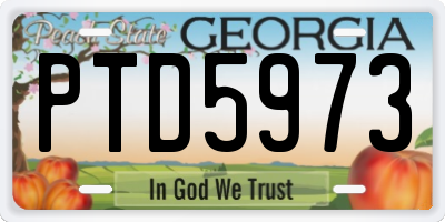 GA license plate PTD5973
