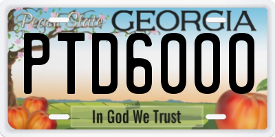 GA license plate PTD6000