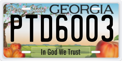 GA license plate PTD6003