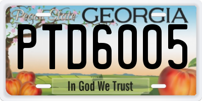 GA license plate PTD6005