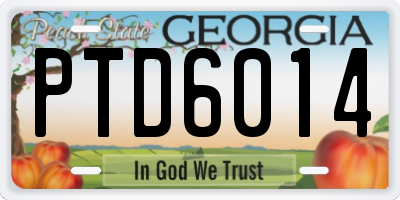 GA license plate PTD6014