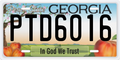 GA license plate PTD6016