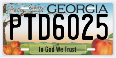 GA license plate PTD6025