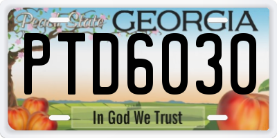 GA license plate PTD6030