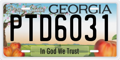 GA license plate PTD6031