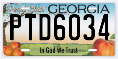 GA license plate PTD6034