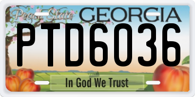 GA license plate PTD6036