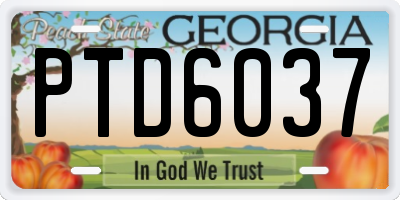 GA license plate PTD6037