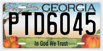 GA license plate PTD6045